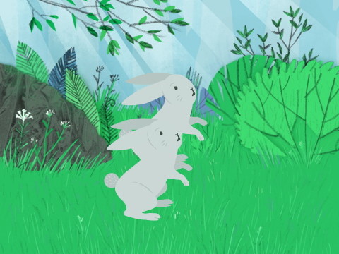 danceing in the forest