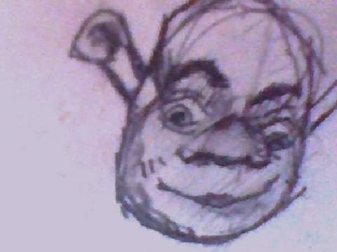 I drew shrek