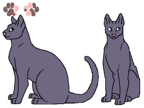 Warrior Cats Ref-MoonStone
