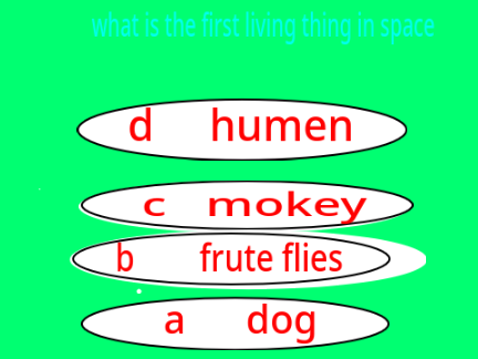 space quiz