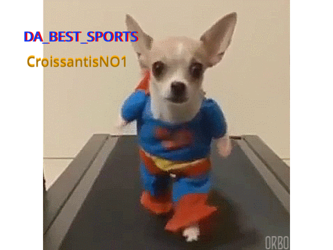 Sign if u love dogs 