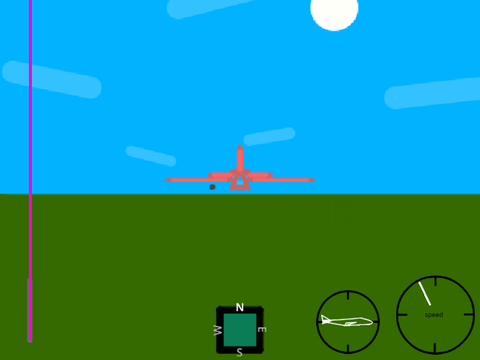 hacked flight simulator