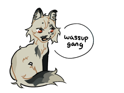 chat