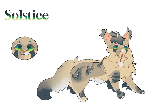 ☆ -- solstice ; looking for family