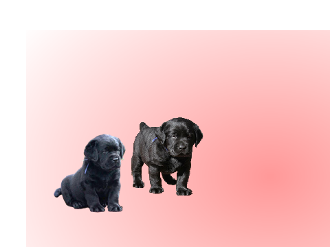 Why should you love puppys 2
