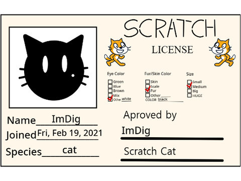 My Scratch License