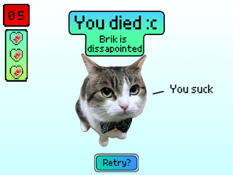 cat tennis: A not very well made game