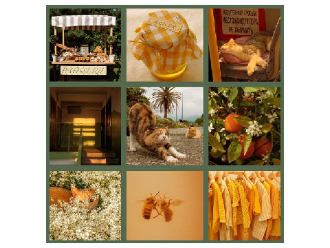 ✦ design fight moodboards!! 