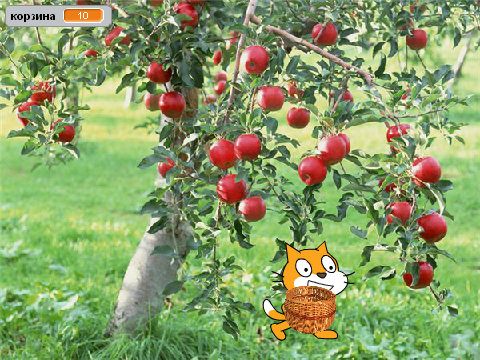 Яблоки