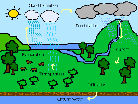 Interactive Water Cycle