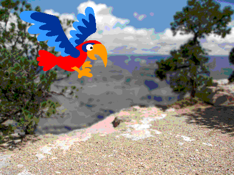 fly