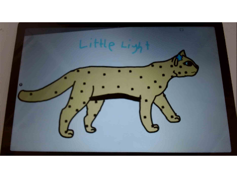 Littlelight