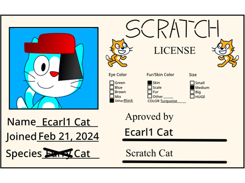 My Scratch License 