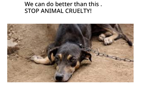 Stop animal abuse! Remix & sign if you agree!