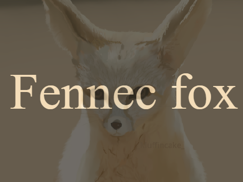 Fennec fox art