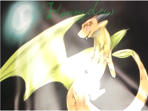 Foxblossems mail