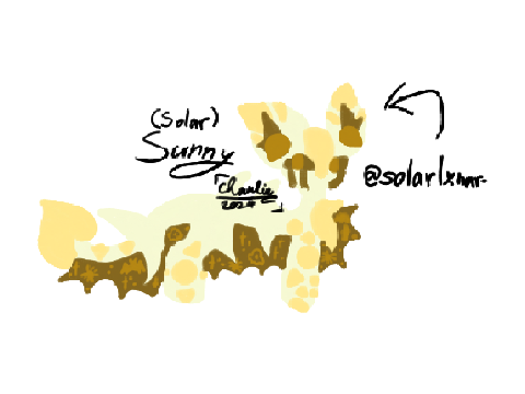 ꧁꧂ Sunny