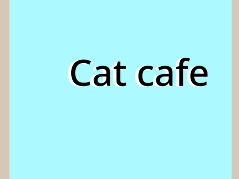 Cat cafe designer