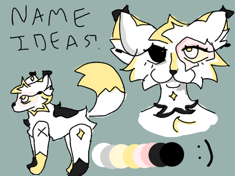 Main Warrior Cats OC! Name ideas?