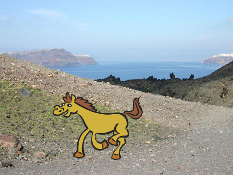 run horse run