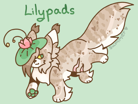 10 : Lily’Pad Entry