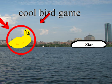 cool bird game