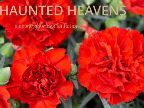 // Haunted Heavens: A Countryhumans Fanfiction | Act One: Serenity & Death | Chapter III ///